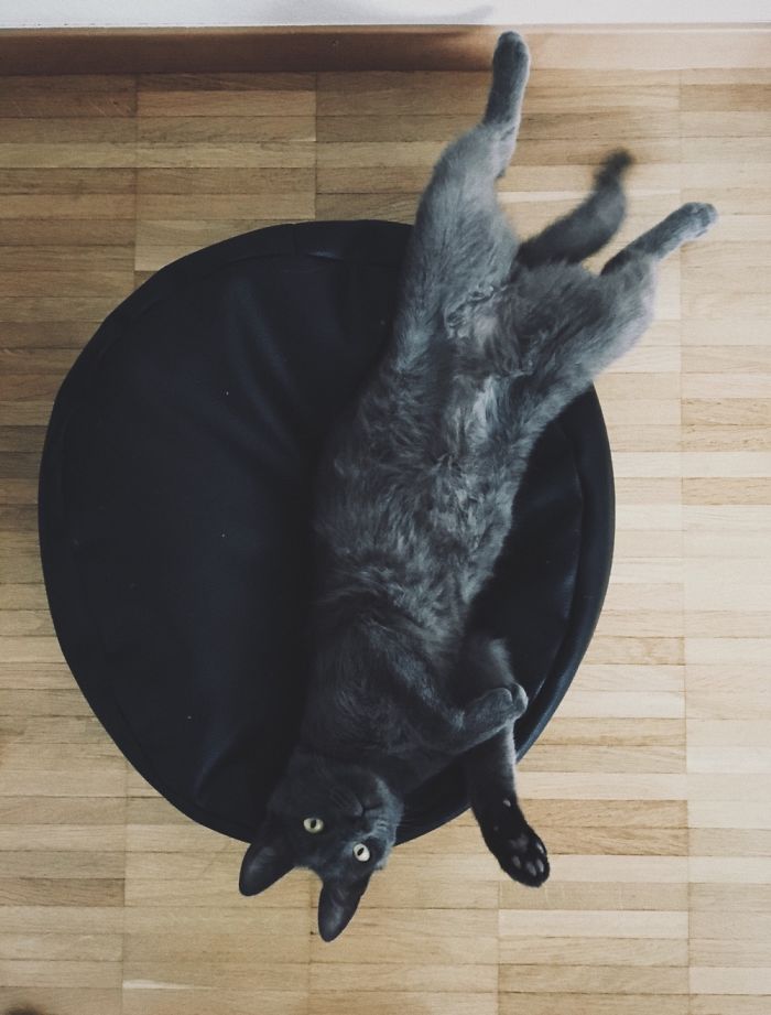 He Always Sleeps Like That