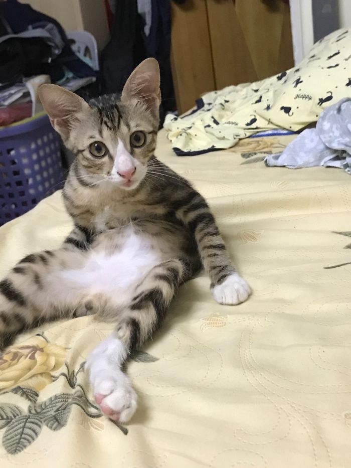 I Just Turned Around To See What He Was Doing, But 🙄🤷🏻‍♀️😂😂😂