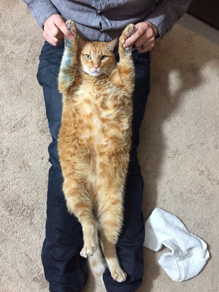 So We Have A Chalkboard Wall In Our House... Apparently He Thought He Would Help