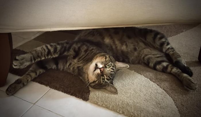 Mi Little Maximilian....