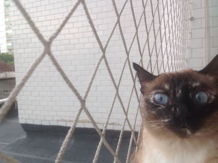 I Woke Up Today And I'm Guessing Someone Was Watching Me During My Sleep