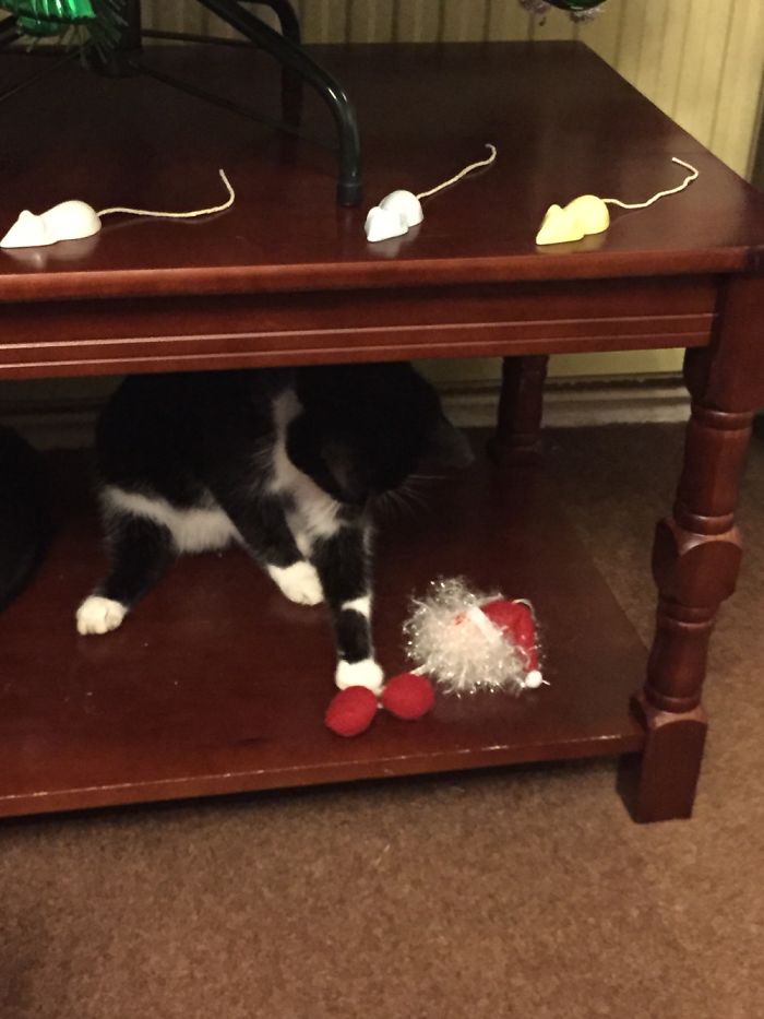 There Will Be No Christmas