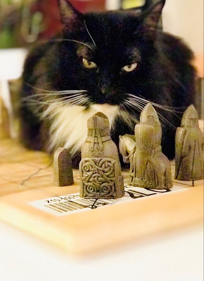 Do You Want To Play A Game?