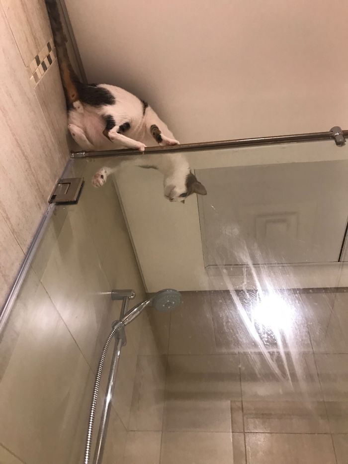 I Thought It Would Be Fun To Climb Here...