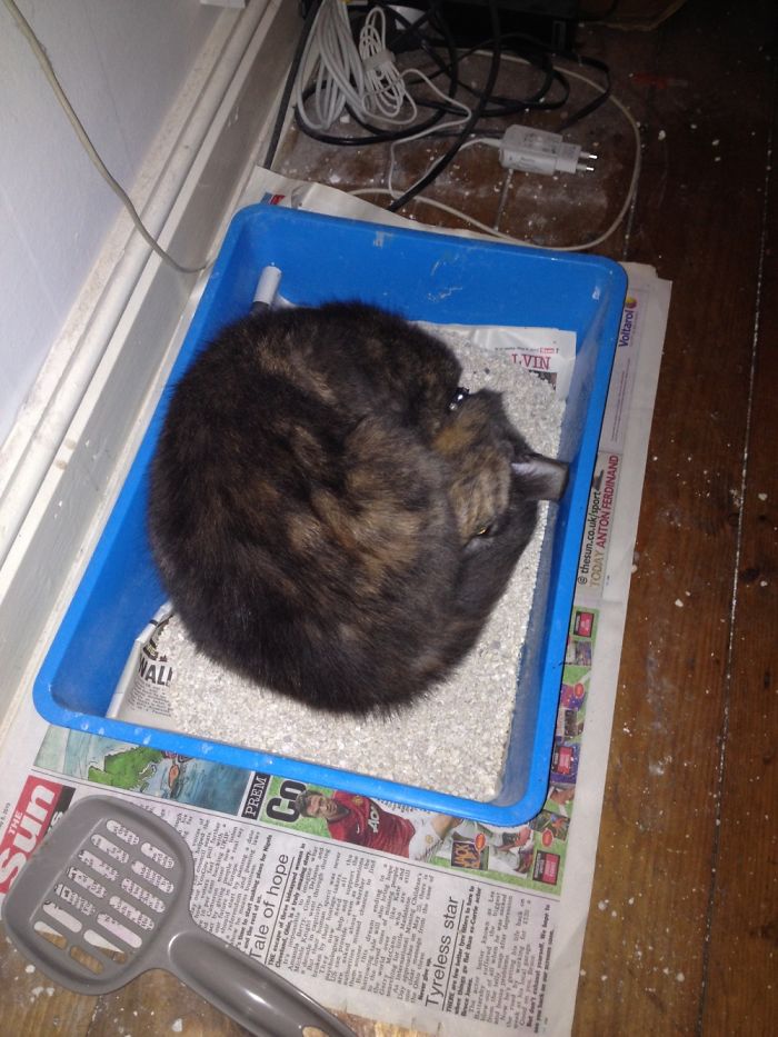 That’s Not Your Bed Sui!!!