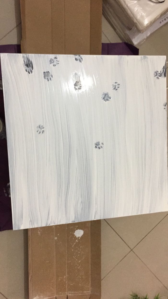 I Just Finished Applying The First Layer On My Table And Then...