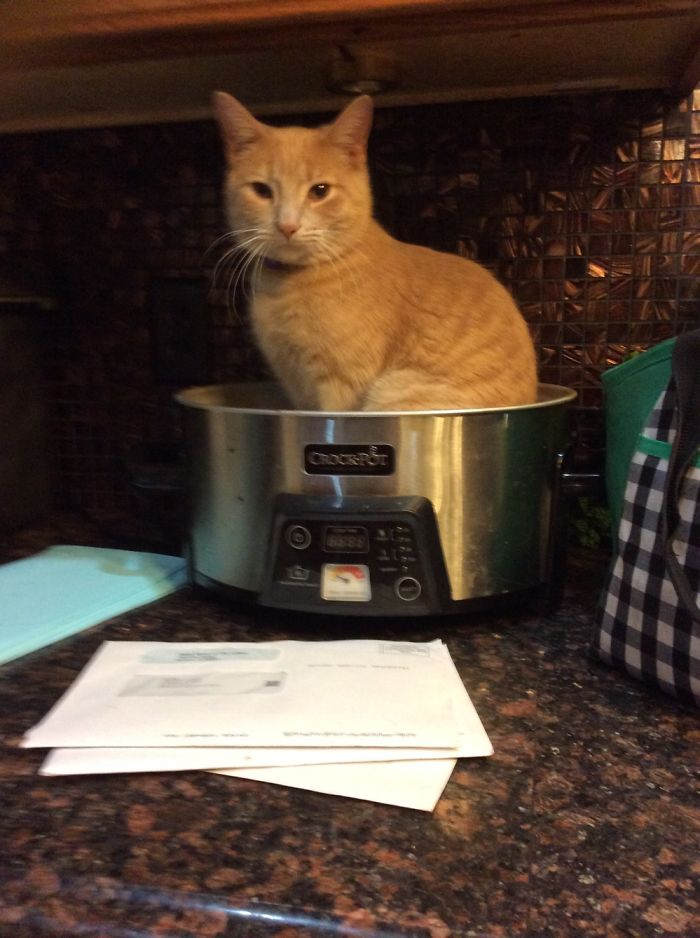 We Were Making Something...