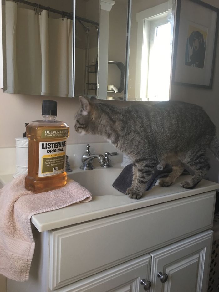 My Breathe Could Use A Touch-Up