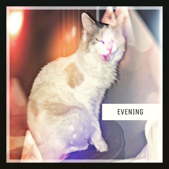 Caught In A Rare Moment At Karaoke Night Singing Her Rendition Of Helen Reddy’s “I Am Woman”