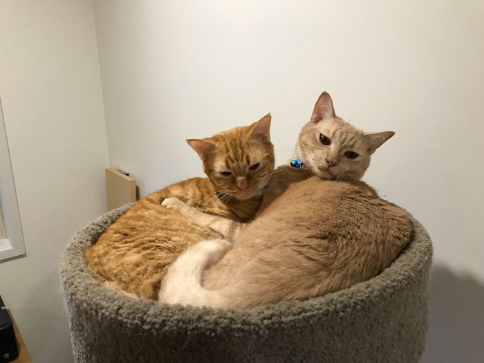 Don’t Worry Bro - I’ll Look After You