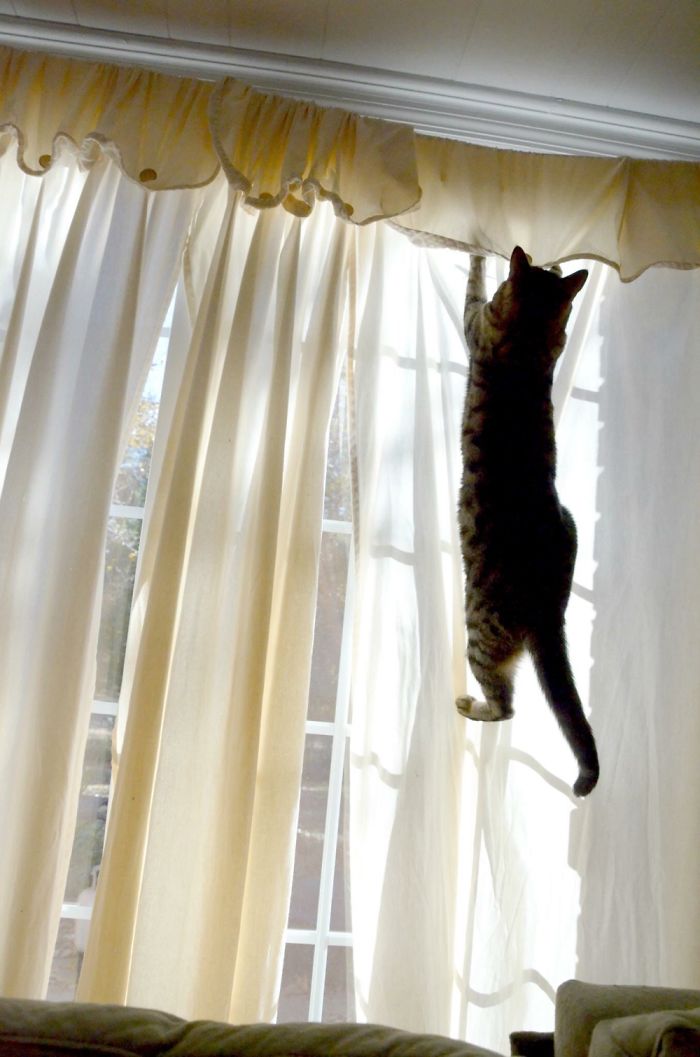 Just Hanging Around >.