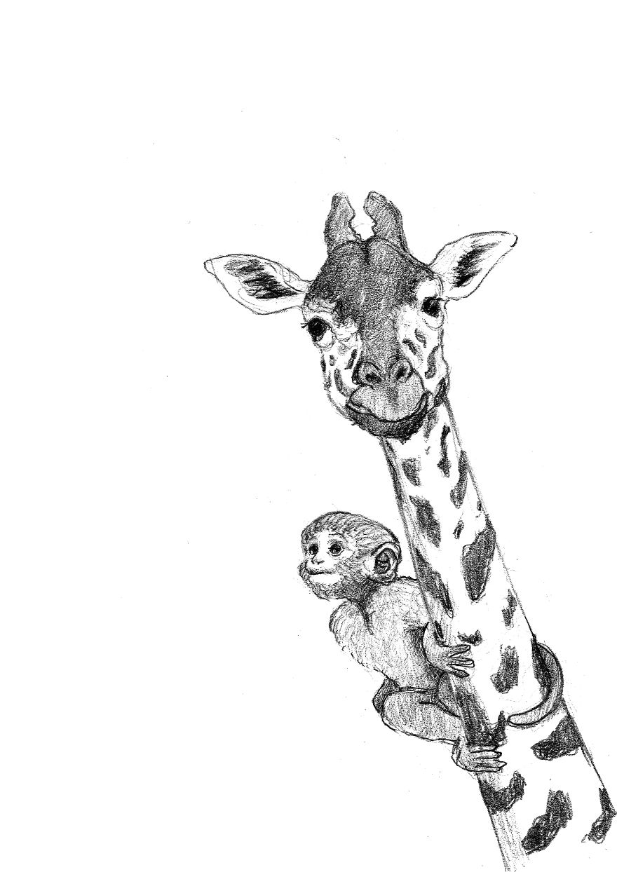 Making Friends- Illustrations