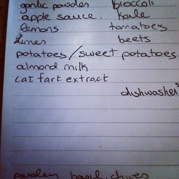 My Grocery Lists Will Never Be Safe Again