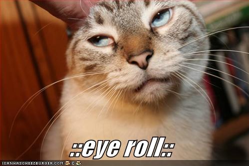 kitteh_eye_roll-5a9ebe9005b4d.jpg