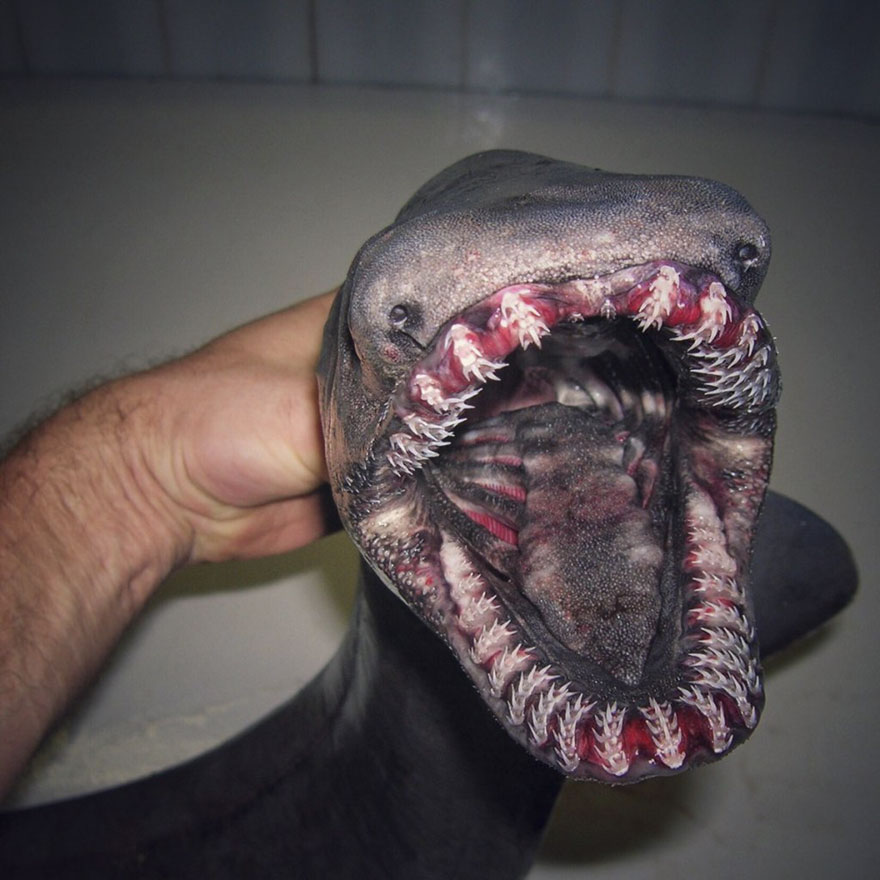 lakes-oceans-depth-scale-infographic-20