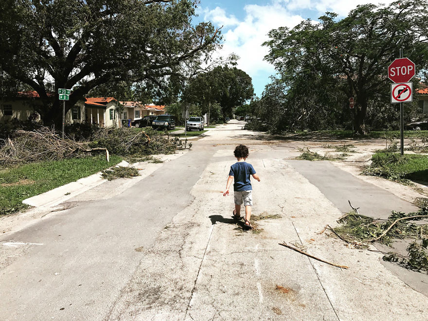 My Post-Irma Street, The American Experience Finalist