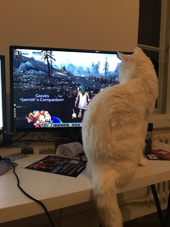 He's The Reason Why I Die So Often