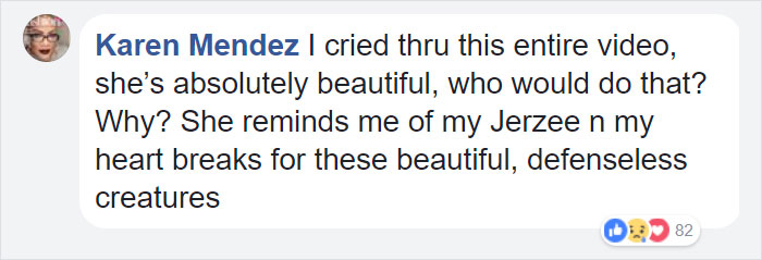 Man Moving Into A New House Finds A Dog Left Behind In The Basement, And The Dog's Reaction Says It All Man Moving Into A New House Finds A Dog Left Behind In The Basement, And The Dog's Reaction Says It All