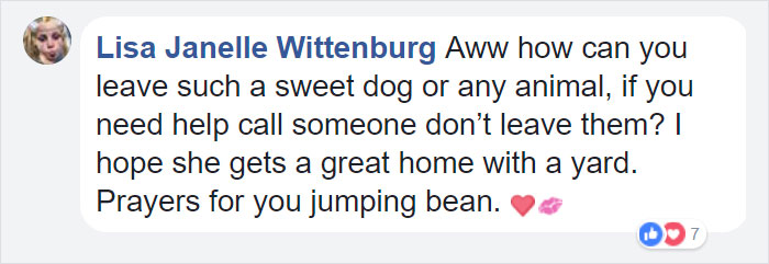 Man Moving Into A New House Finds A Dog Left Behind In The Basement, And The Dog's Reaction Says It All Man Moving Into A New House Finds A Dog Left Behind In The Basement, And The Dog's Reaction Says It All