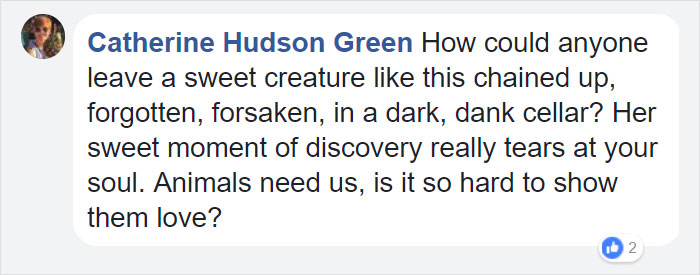 Man Moving Into A New House Finds A Dog Left Behind In The Basement, And The Dog's Reaction Says It All Man Moving Into A New House Finds A Dog Left Behind In The Basement, And The Dog's Reaction Says It All