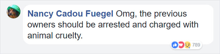 Man Moving Into A New House Finds A Dog Left Behind In The Basement, And The Dog's Reaction Says It All Man Moving Into A New House Finds A Dog Left Behind In The Basement, And The Dog's Reaction Says It All