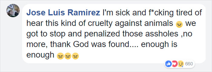 Man Moving Into A New House Finds A Dog Left Behind In The Basement, And The Dog's Reaction Says It All Man Moving Into A New House Finds A Dog Left Behind In The Basement, And The Dog's Reaction Says It All