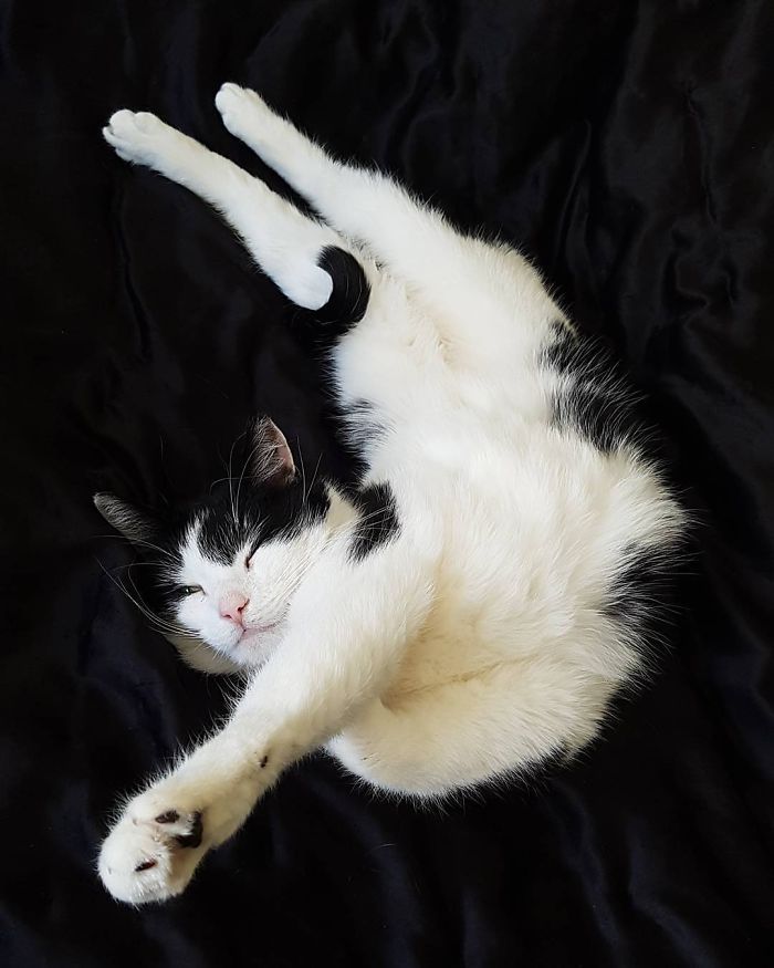 Abbath, Casually Hanging Out