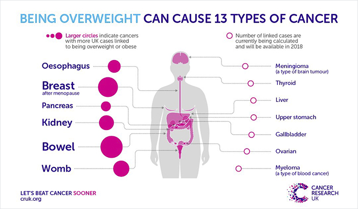obesity-compaign-cancer-research-uk-reaction-sofie-hagen-5 obesity-compaign-cancer-research-uk-reaction-sofie-hagen-5