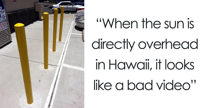 165 Times People Got Seriously Confused By Accidental Optical Illusions In Everyday Things