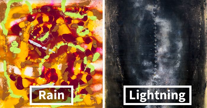 I Used The Power Of Nature To Create These Paintings