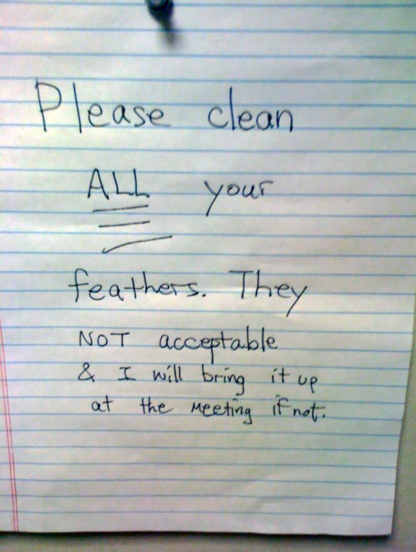 Please Clean All Your Feathers