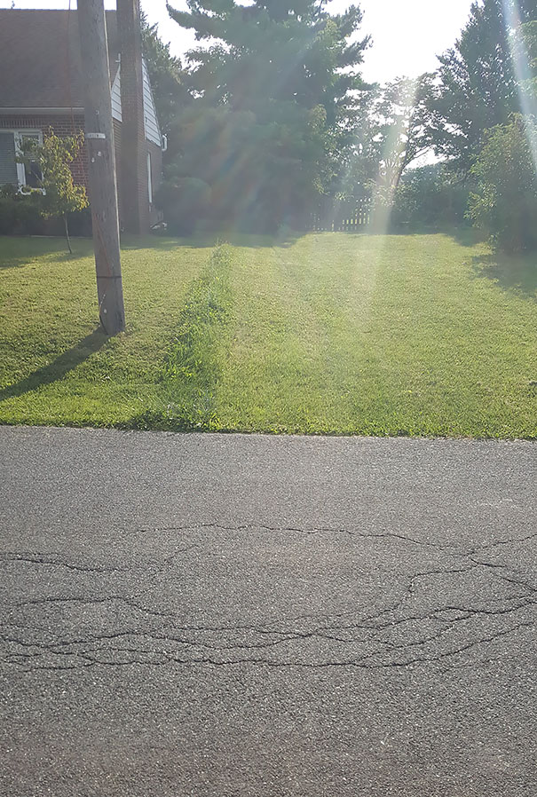 I Mowed My Elderly Neighbors Lawn. The People On The Left Of Her Mowed A Day After. I Guess I Didnt Mow Right To The Property Line. I Officially Hate These People Now