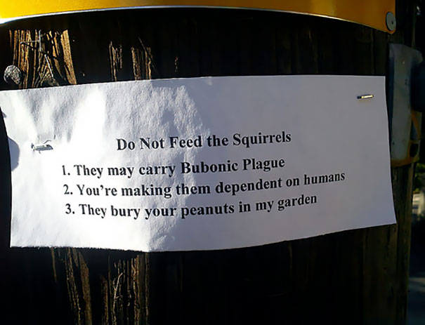 In Order Of Increasing Importance