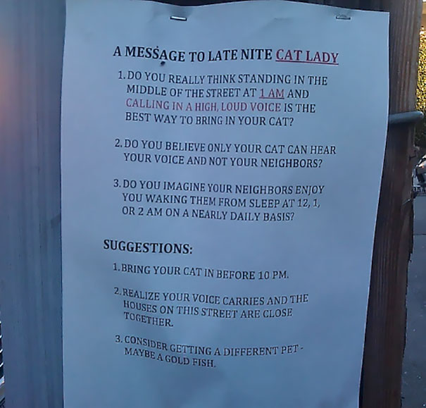 (Cat) Lady Of The Night