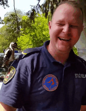 Officer Disney Princess