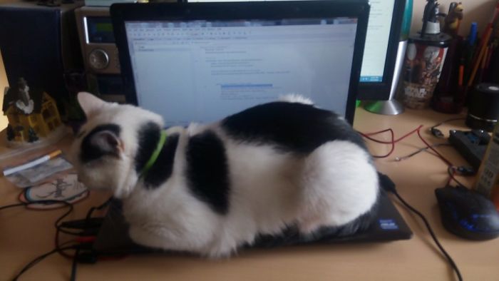 I'll Stay Home And Do Some Programming...