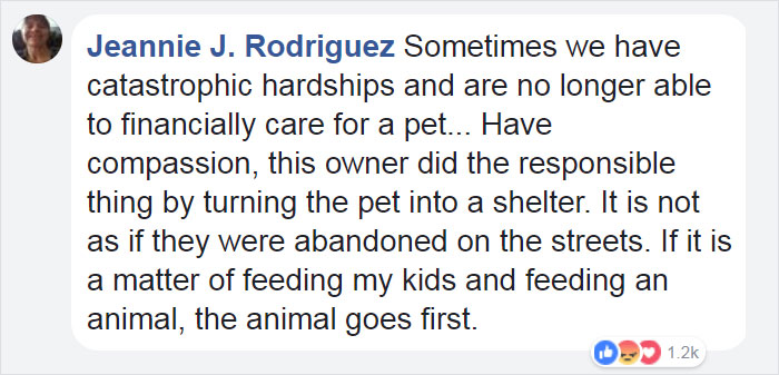 scared-dog-dragged-houston-shelter-truman-18