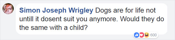 scared-dog-dragged-houston-shelter-truman-19