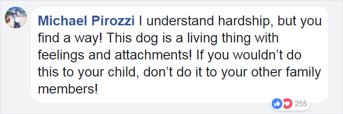 scared-dog-dragged-houston-shelter-truman-21