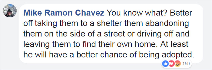 scared-dog-dragged-houston-shelter-truman-22