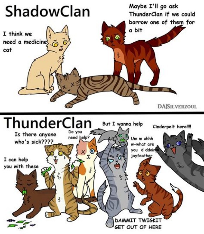 Thunderclan Has Too Many Medicine Cats