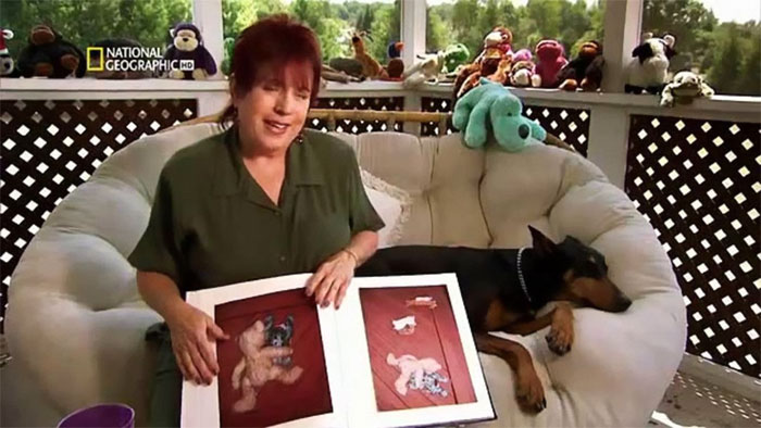 140 Of The Most Unbelievably Smart Things Pets Have Done That Surprised Their Owners