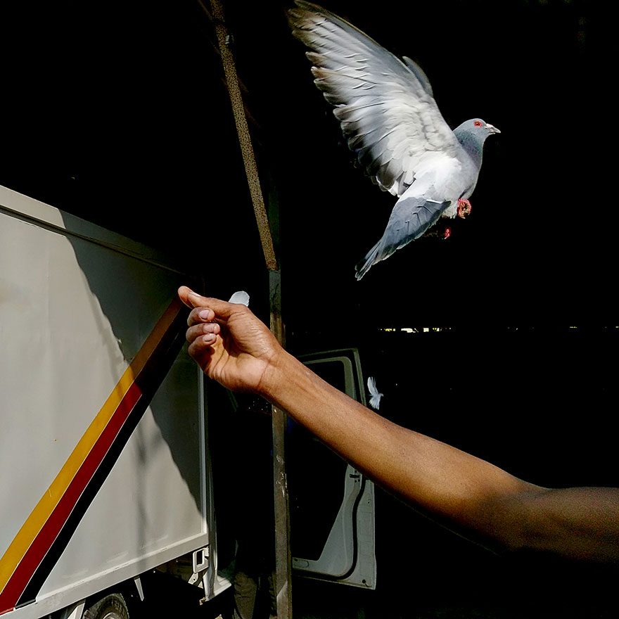 Moin Ahmed, Bangladesh National Award