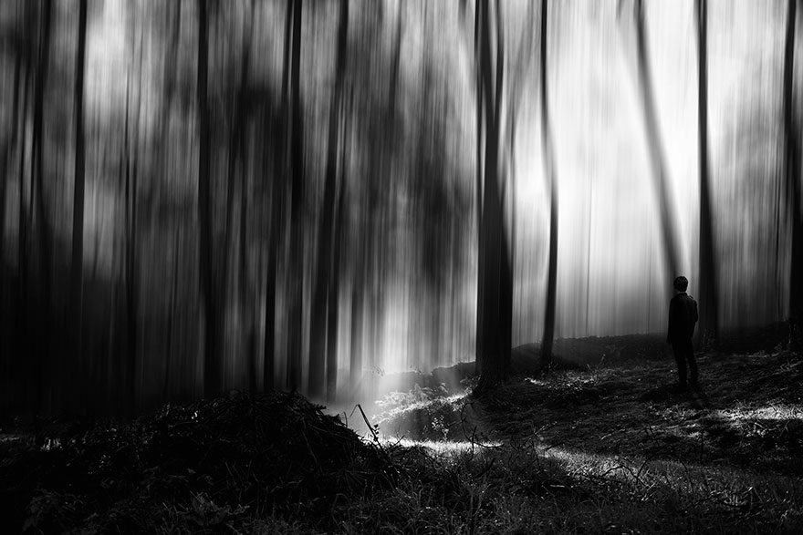 Antonio Coelho, Portugal National Award