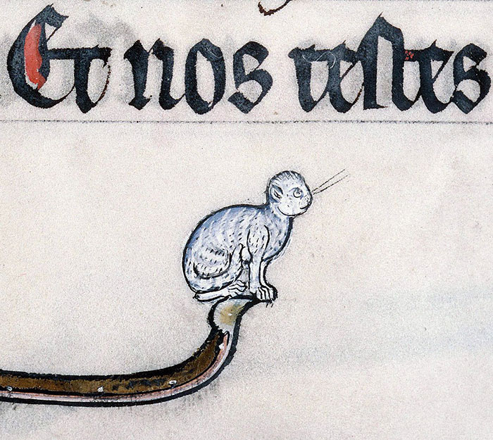 Medieval cat painting with quirky features beside decorative text.