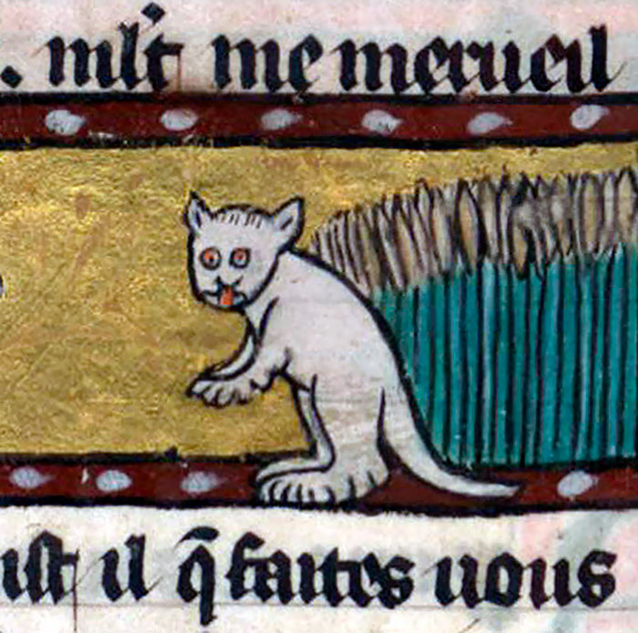 Medieval cat painting with humorous, exaggerated features, illustrating historical art style.