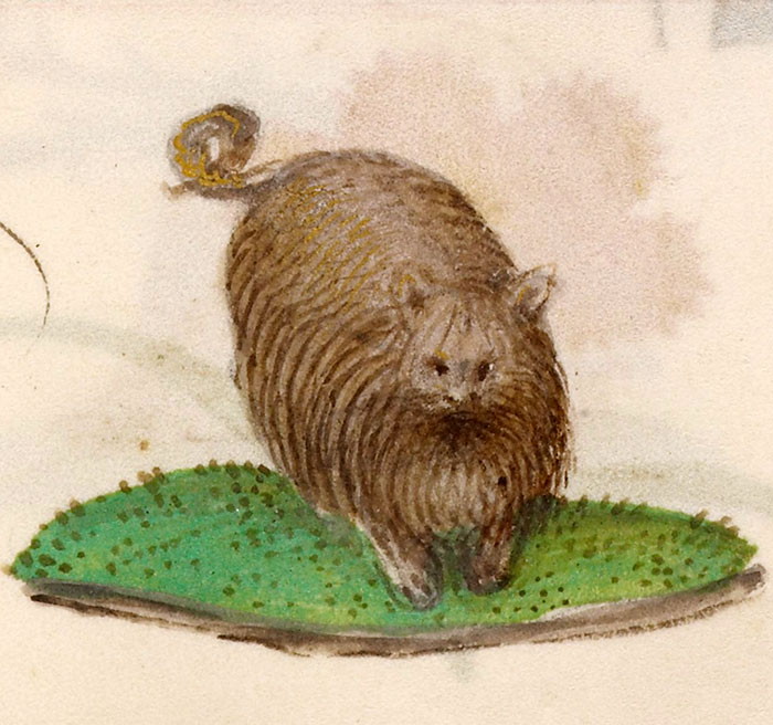 Medieval cat painting, showcasing a humorously awkward and abstract depiction on a green patch.