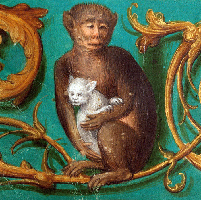 Ugly medieval cat painting showing a monkey holding a peculiar-looking white cat with a green background and ornate details.