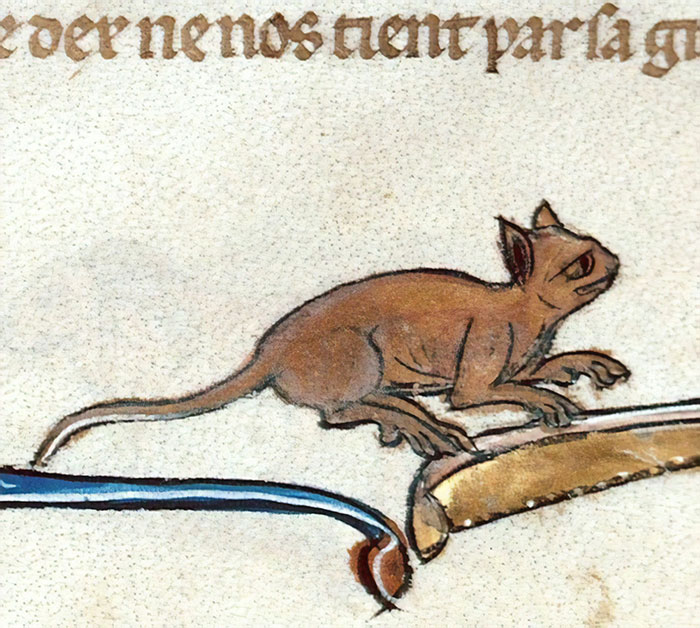 Ugly medieval cat painting with exaggerated features, set against a background of old script text.