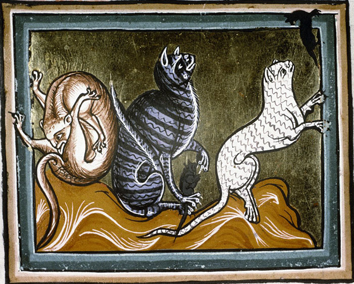 Medieval cat paintings with abstract and humorous features in colorful illustration.